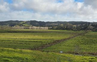 11 Davidson Road, Waimauku