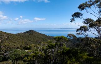 LOT 2 303 Waiaua Road, Hihi