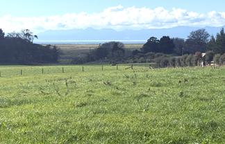 899 Findlay Road, Hauraki Surrounds