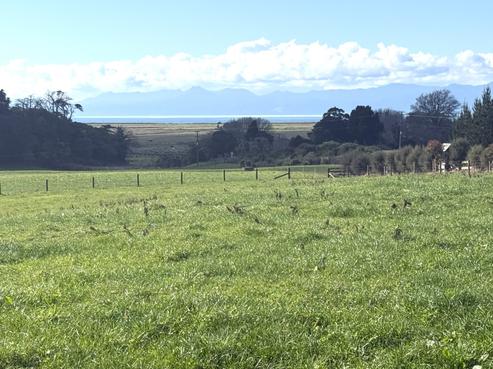 899 Findlay Road, Miranda