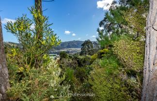 111 and 113 Blue Mountains Road, Blue Mountains