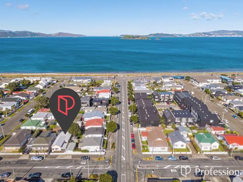 20 Adelaide Street, Petone