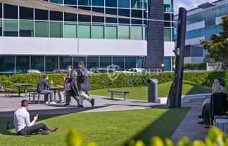 Flexible 822m² Office in Prime Ellerslie Location