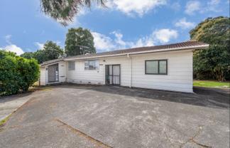 11 Tangelo Place, Bucklands Beach
