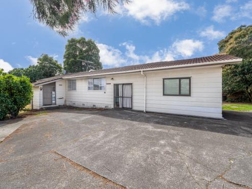 11 Tangelo Place, Bucklands Beach