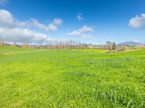 275 Saint Leger Road, Kihikihi