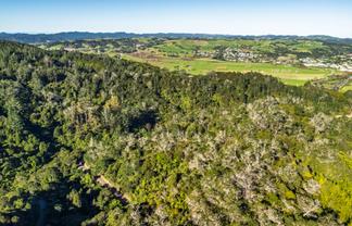  Whangae Road, Kawakawa
