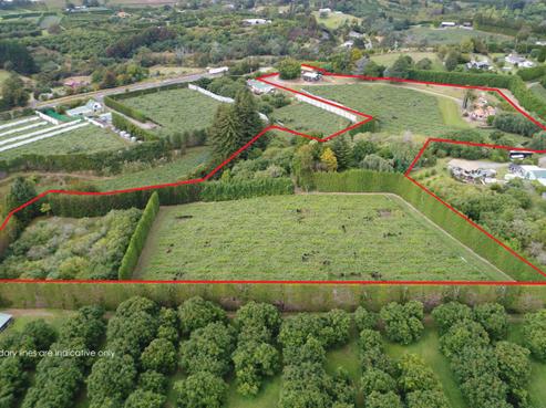 6 Woodland Road, Katikati