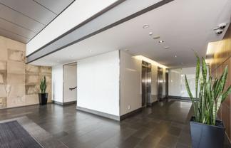 Exciting Office Opportunity - Greenlane