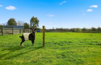 36B Kio Kio Station Road, Otorohanga
