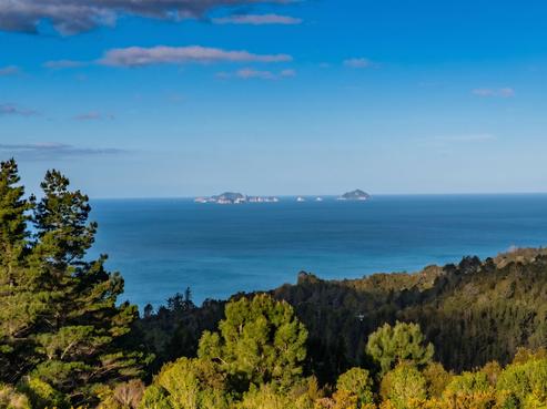 107 Paul Road, Tairua