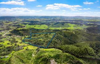 Lot 3 Radiata Road, Warkworth