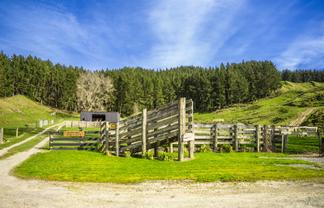 1522 State Highway 2, Wairoa