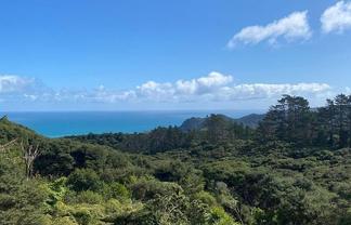 Auckland - Address withheld