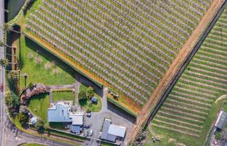 5 Watson Road, Karamu
