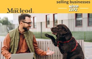 Reputable Auckland Canine Services - Business for Sale $126,311 Average SDE for Owner (CML 11615)