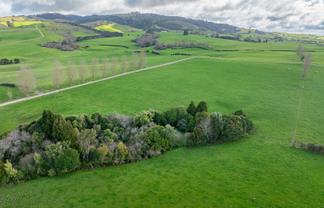 180 Cameron Road, Morrinsville