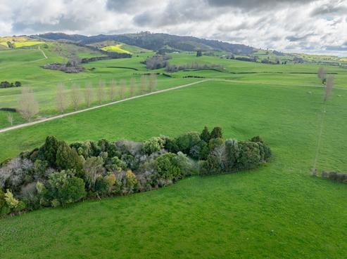 180 Cameron Road, Morrinsville