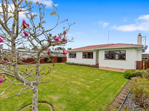 17 Emmett Street, Greerton