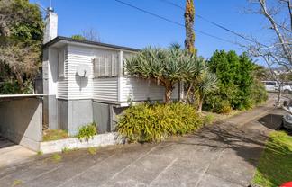 17B Kawau Road, Greenlane