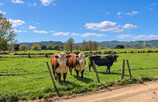 5661 State Highway 26, Te Aroha