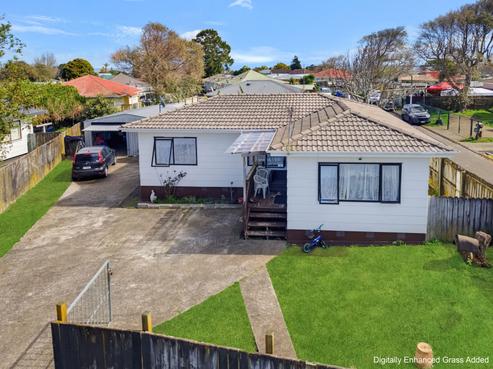 17 Dungarvon Place, Clendon Park