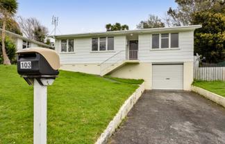 103 Riversdale Drive, Merrilands