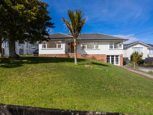 117 Terry Street, Blockhouse Bay