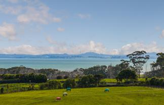 425 Clarks Beach Road, Waiau Pa