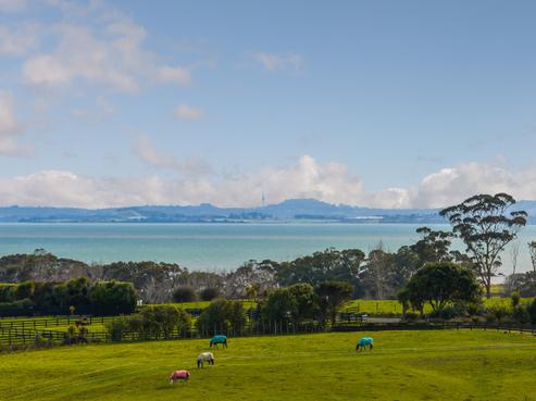 425 Clarks Beach Road, Waiau Pa