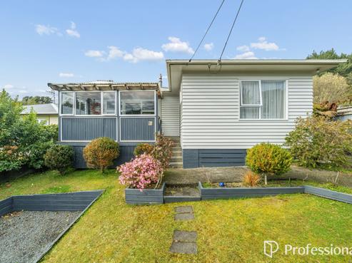 19 Gardiner Grove, Wainuiomata