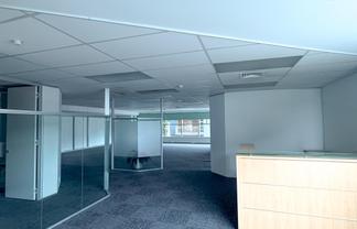 Turnkey Grafton Office | 179sqm