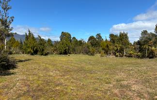 Punt Road, Westport