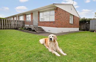 5/1 Fifth Avenue, Mount Albert