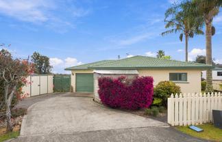 16 Smylie Close, Ohauiti