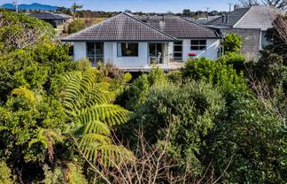 217 Carrington Street, Vogeltown