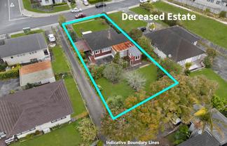 15 Nash Road, Mount Roskill