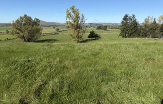 235 Te Ore Ore-Bideford Road, Masterton