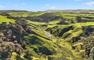 55 Coster Road, Muriwai