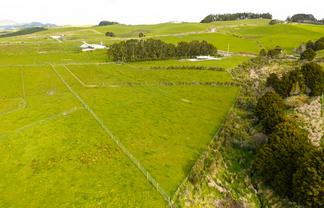 Lot/5 Dodd Road, Maungaturoto