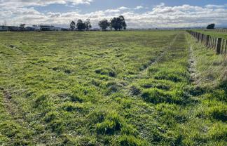 319 & 325 Campbell Road, Bunnythorpe, Feilding, Bunnythorpe