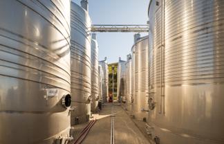 Established winery – freehold going concern