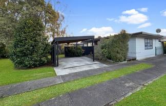 53 College Street , Awapuni