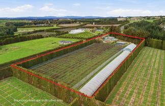 1040 Te Matai Road, Te Puke