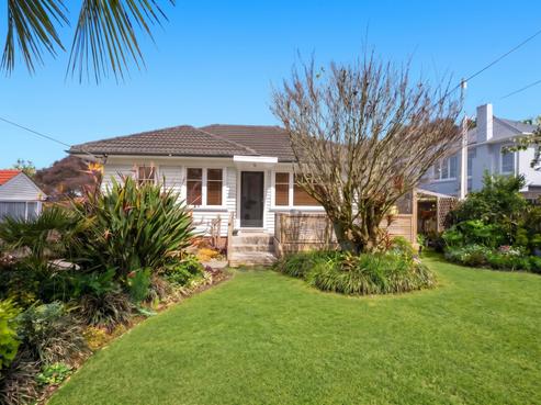 19 Eastglen Road, Glen Eden
