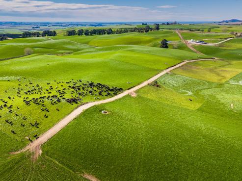 414 Glenn Settlement Road, Duntroon
