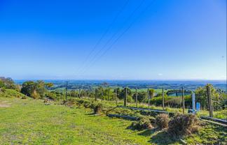 311 Ngahere Park Road, Turitea