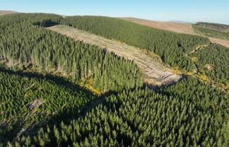 920 Dipton Mossburn Road, Castle Downs