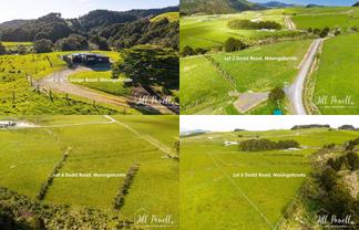 Lots/2, 4, 5 Dodd Road, Maungaturoto