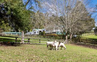 25 Wayby Station Road, Wellsford